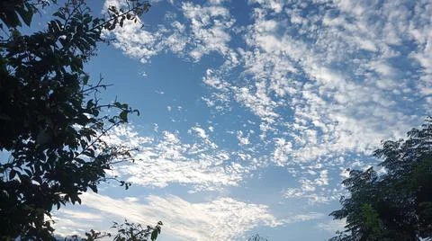 Blue Sky and White Clouds Over Trees Stock Photos