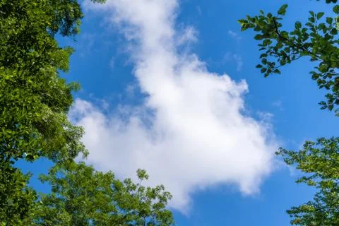 Blue sky background with clouds between green trees Stock Photos