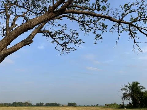 Blue sky background with clouds in a frame of leaves Stock Photos