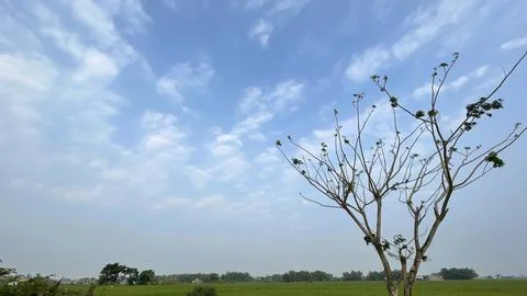 Blue sky background with clouds in a frame of leaves Stock Photos