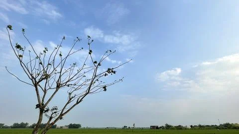 Blue sky background with clouds in a frame of leaves Stock Photos