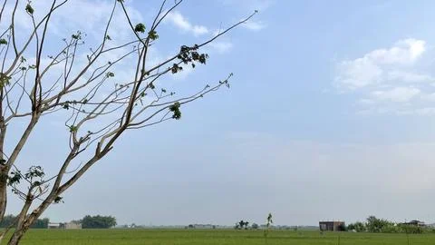 Blue sky background with clouds in a frame of leaves Stock Photos