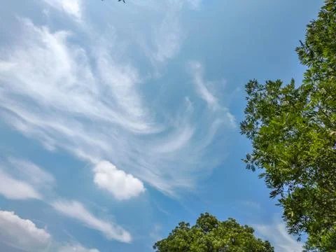 Blue sky background with clouds tip of trees Stock Photos