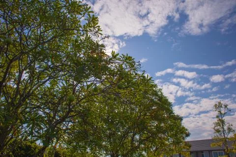 Blue sky background with tiny clouds 스톡 사진