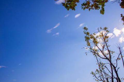Blue sky background with tiny clouds Stock Photos