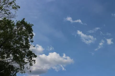 Blue sky background with tiny clouds Stock Photos