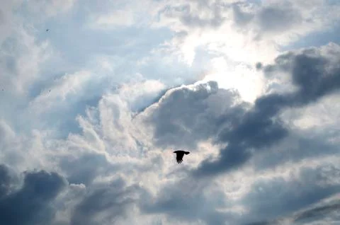 Blue sky background with white clouds Stock Photos