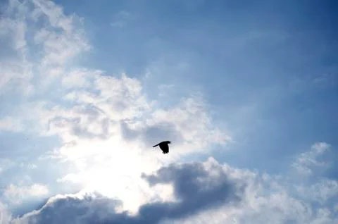 Blue sky background with white clouds Stock Photos