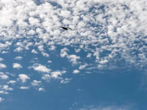 Blue sky background with white clouds. Stock Photos