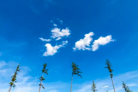 Blue sky background with white tiny clouds Foto stock