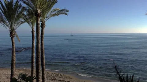 Blue sky beach boat palms sand sea horizon calm Stock Footage 57233624