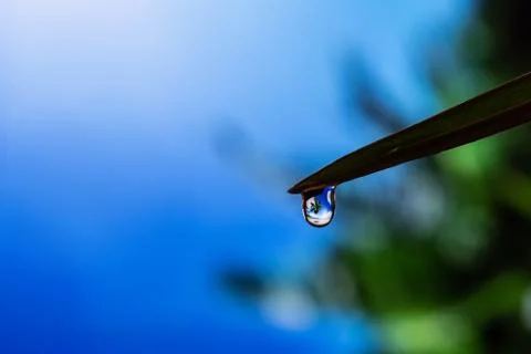 Blue sky, beach, palm tree reflected in a drop of water Stock Photos