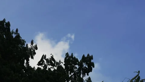 Blue sky with beautiful cloud. Stock Footage 312986834