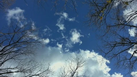 Blue Sky Below Stock Footage 83009008