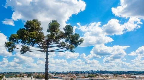Blue sky between white clouds Stock Photos