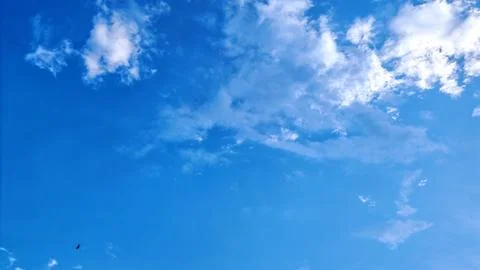 Blue Sky with Bird and Clouds Texture background Stock Photos