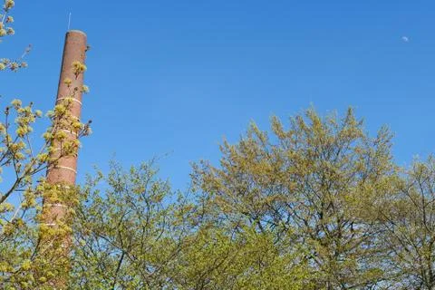 Blue Sky Chimney &amp; Trees Stock Photos