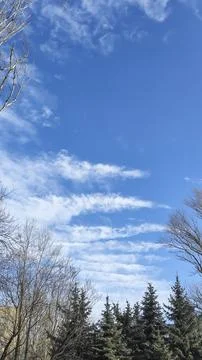 Blue sky with cirrus clouds over the city. Winter warm day. Trees without lea Stock-Fotos