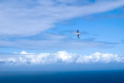 Blue sky at the Cliffs of Moher Stock Photos
