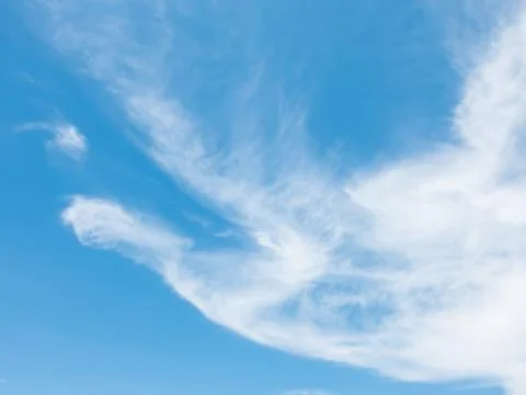 Blue sky cloud look like bird Stock Photos