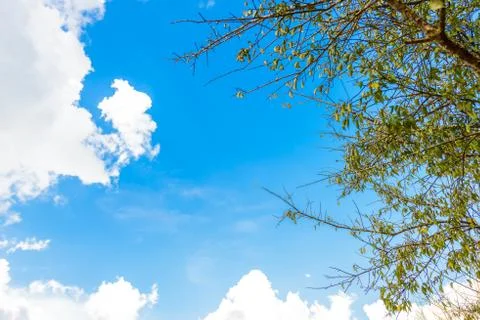 Blue sky with cloud Stock Photos