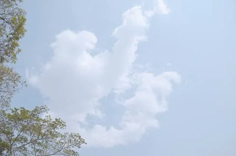 Blue sky with a cloud. Stock Photos