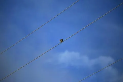 Blue sky with cloud Stock Photos