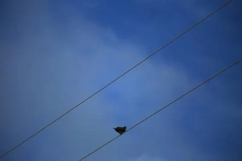 Blue sky with cloud Stock Photos