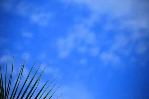 Blue sky with cloud Stock Photos