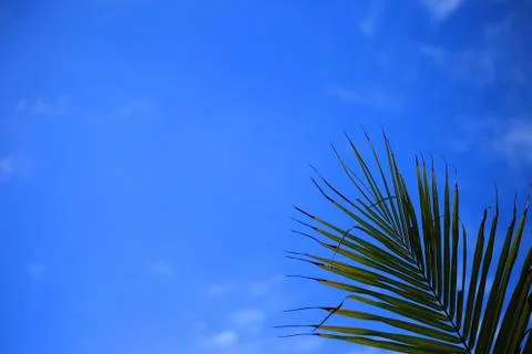 Blue sky with cloud Stock Photos