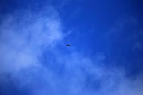 Blue sky with cloud Stock Photos