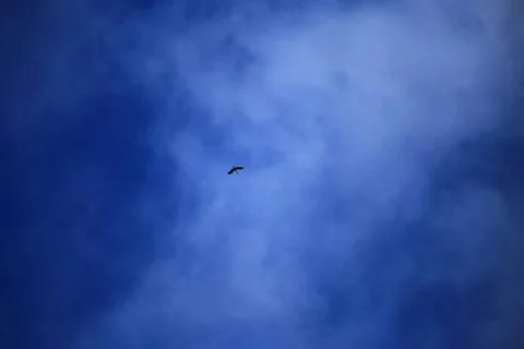 Blue sky with cloud Stock Photos