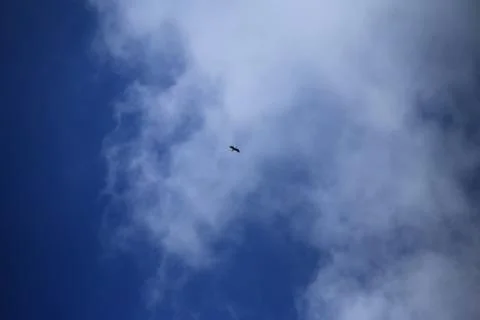 Blue sky with cloud Stock Photos