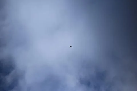 Blue sky with cloud Stock Photos