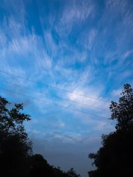 Blue sky cloud tree background Stock Photos