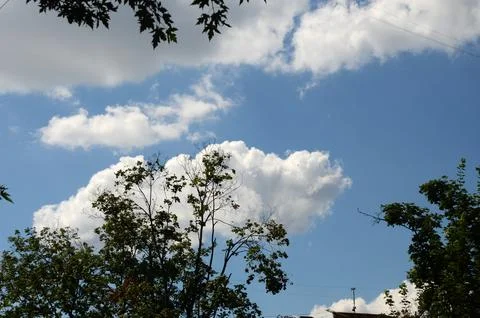 Blue Sky with Clouds Above Tree Canopy 스톡 사진