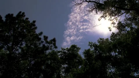 Blue Sky with Clouds Above Trees in the Middle of Nowhere Vídeos de archivo 241943111