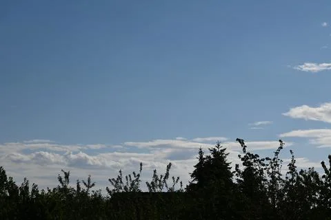 Blue sky with clouds above treetops Stock Photos