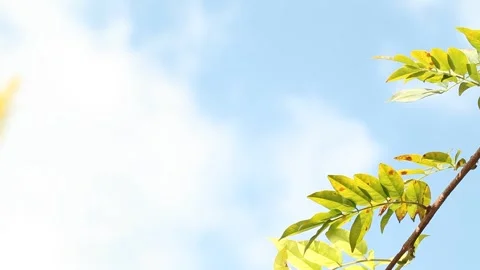 Blue sky with clouds and daylight  Stock-Footage 303395769