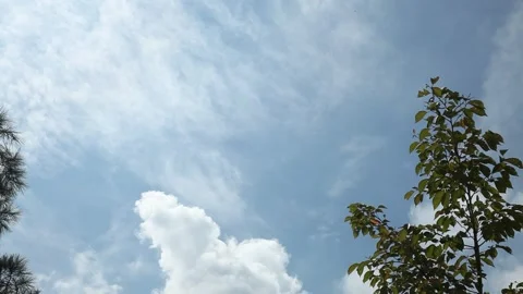 Blue sky with clouds and daylight  Video stock 303395773
