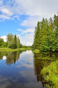 Blue sky, clouds and forest reflected in the water of the river Oredezh among Stock Photos