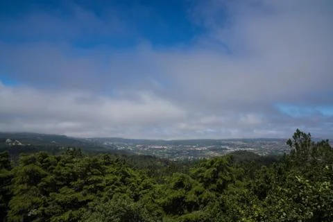 Blue sky with clouds and forest Stock Photos