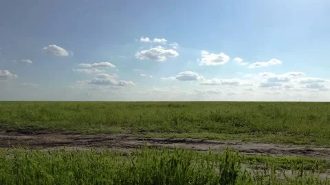 Blue sky with clouds and green grass waving in the wind. Steppe in spring Stock Footage 154377274