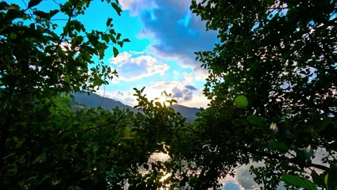 Blue sky with clouds and river behind trees Stock Footage 316425194