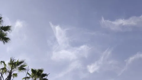 Blue sky with clouds and sounds of an avenue and a bird singing Stock Footage 306911819