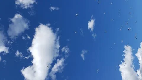 Blue sky with clouds and sun Stock Photos