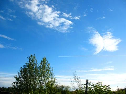Blue sky, clouds and trace of flying airplane Stock Photos