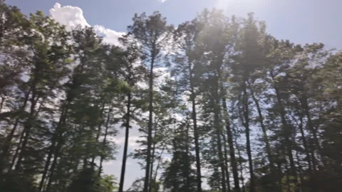 Blue sky, clouds and tree tops with sun rays in this tracking shot, low angle, Stockbeeldmateriaal 337182243