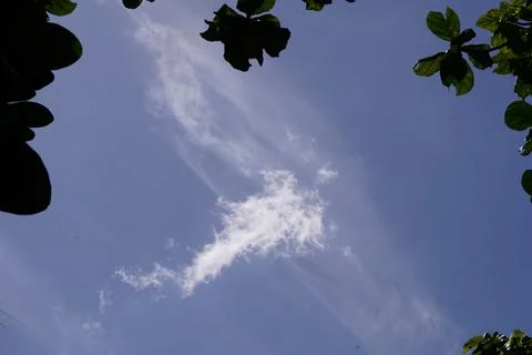 Blue Sky with Clouds and Tree Leaves Background Stock Photos
