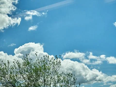 Blue sky with clouds and tree tops Foto stock